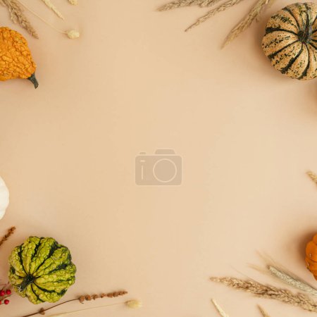 Photo for Small decorative pumpkins and dried grass. Autumn, fall, thanksgiving or halloween concept with blank mockup copy space. Flat lay, top view - Royalty Free Image