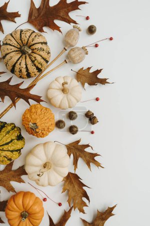 Photo for Autumn fall composition. Dried oak leaves, acorns, pumpkins on white background with copy space. Flat lay, top view leaf pattern - Royalty Free Image