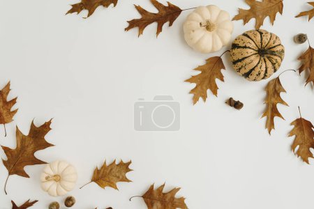 Photo for Minimal autumn fall composition. Dried oak tree leaves, acorns and pumpkin on white background with mockup copy space - Royalty Free Image