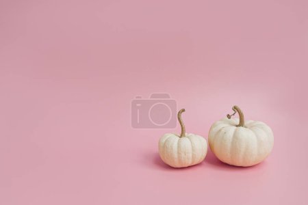 Photo for Decorative pumpkins. Aesthetic autumn, fall, thanksgiving, halloween creative concept with copy space - Royalty Free Image