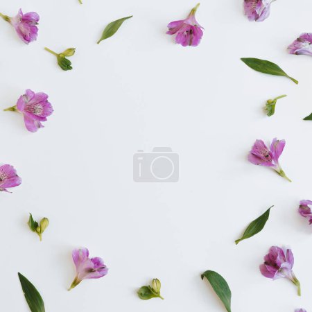 Photo for Frame of purple flowers, leaves and petals on white background. Flat lay, top view - Royalty Free Image