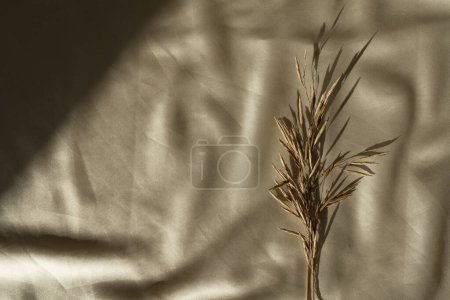 Téléchargez les photos : Tige d'herbe séchée, ombres douces et ensoleillées sur tissu de soie doré brillant froissé. Esthétique à plat, vue sur le dessus fond bohème minimal - en image libre de droit