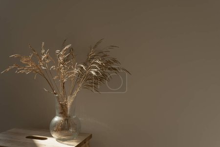 Foto de Tallos de hierba seca estética en jarrón de vidrio contra la pared beige neutro. Hermoso fondo con colores neutros. Concepto floral elegante y minimalista. Vibras parisinas. Sombras de luz solar en la pared - Imagen libre de derechos
