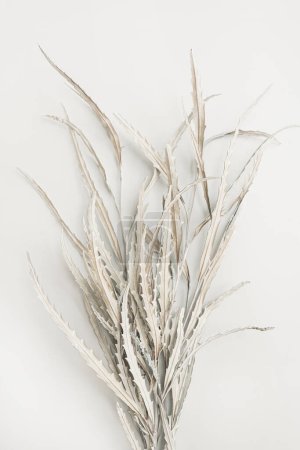 Foto de Ramo de hojas blancas secas sobre fondo blanco. Composición floral mínima de vacaciones - Imagen libre de derechos