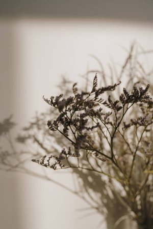 Photo for Aesthetic dried grass bouquet in sunlight shadows at neutral beige wall. Minimal Parisian vibes floral composition - Royalty Free Image