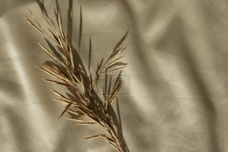 Foto de Tallo de hierba seca sobre fondo de tela de seda brillante dorado. Estética composición floral mínima. Piso tendido, vista superior - Imagen libre de derechos