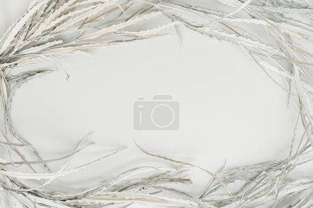 Foto de Marco de maqueta en blanco con espacio de copia vacío hecho de hojas blancas secas sobre fondo blanco. Piso tendido, vista superior - Imagen libre de derechos