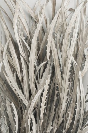 Téléchargez les photos : Elégant bouquet de feuilles sèches esthétiques sur fond beige neutre avec espace de copie - en image libre de droit