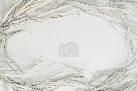 Foto de Marco floral hecho de hojas y ramas secas sobre fondo blanco. Plano laico, concepto floral vista superior. Marco en blanco con espacio de copia maqueta - Imagen libre de derechos