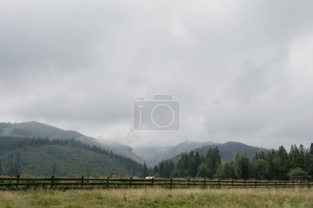 Téléchargez les photos : Picturesque view of mountain hill, forest, sky and clouds. Scenic nature landscape. Summer vacation travel - en image libre de droit