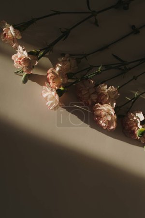 Pink carnation flowers bouquet on tan background with deep sunlight shadows. Flat lay, top view floral composition