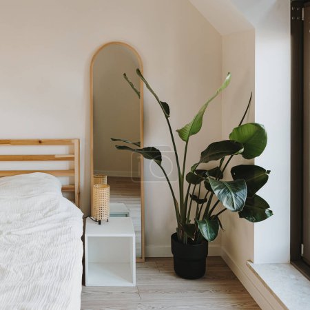 Foto de Moderno diseño interior minimalista del hogar. Palmera tropical, cama con ropa de cama blanca, espejo, lámpara lateral. Acogedora habitación - Imagen libre de derechos