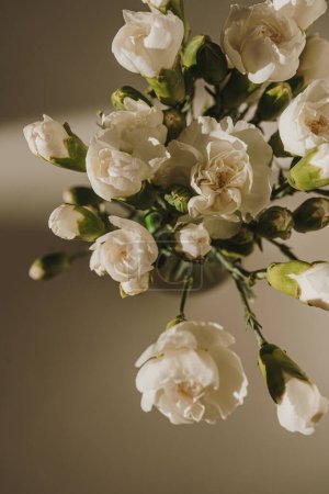 Téléchargez les photos : Vue rapprochée du bouquet de fleurs d'oeillet. Fleurs dans l'ombre esthétique du soleil - en image libre de droit