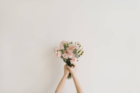 Foto de Mano de mujer sosteniendo hermosas flores de clavel sobre fondo neutro. Estética composición floral mínima - Imagen libre de derechos