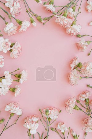 Photo for Frame of pink carnation flowers over pink background. Floral template with blank copy space - Royalty Free Image
