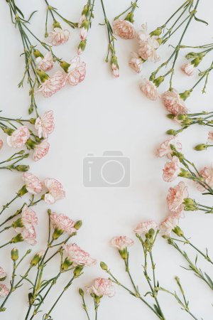 Téléchargez les photos : Poser plat composition florale minimale. Oeillet rose fleurs sur fond blanc. Été, concept printemps. Espace de copie, vue du dessus - en image libre de droit