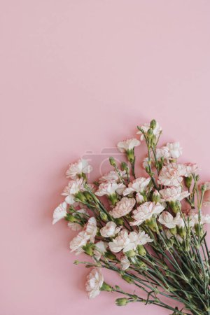 Téléchargez les photos : Bouquet de fleurs oeillet rose sur fond rose. Pose plate, vue du dessus composition florale minimale - en image libre de droit