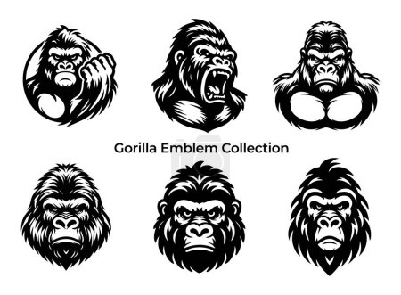 Illustration for Vector set of gorilla heads isolated on white background. Monochrome illustration. - Royalty Free Image