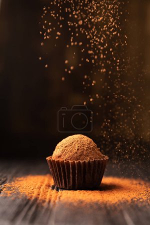 Photo for A ball of chocolate truffle is sprinkled with cocoa on a dark background close-up. Chocolate Fiery. Conceptual photo of a gourmet truffle. - Royalty Free Image