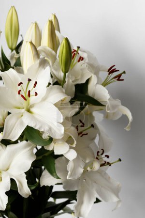 Photo for White blooming lilies and lily buds on a white background close-up. Large bouquet of white lilies isolated. Beautiful white flowers on a light background with space for text. - Royalty Free Image