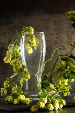 Photo for Empty glass for beer and green branches of hops on a dark background. The concept of natural beer. Brewing traditions. Beer Festival. Oktoberfest. St.Patrick 's Day - Royalty Free Image