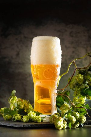 Téléchargez les photos : A glass of light beer with foam on a dark background and bunches of green hops. Unfiltered beer with foam spreading over the glass. Oktoberfest. Beer Festival. - en image libre de droit