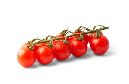 Photo for Ripe organic cherry tomatoes on a branch, isolated on white background. - Royalty Free Image