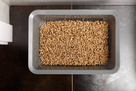 Gray cat litter box with natural wood filling against the background of a brown bathroom floor. Hygiene for pets, toilet granules made from natural materials.
