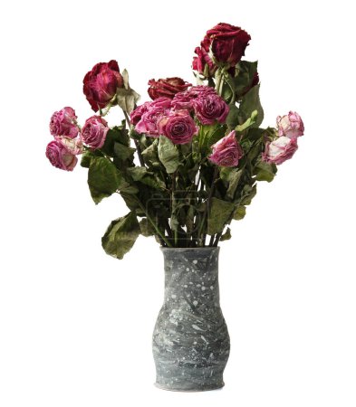 Foto de Ramo de rosas secas en un jarrón de arcilla hecho a mano sobre un fondo blanco. Las rosas muertas se acercan. El concepto de soledad, edad, tristeza, vejez, amor infeliz, pérdida. - Imagen libre de derechos