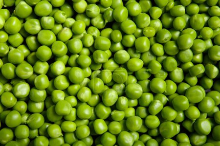 Photo for Background of fresh green peas, texture of perfect grains of peeled sweet peas as a background, top view, close-up. Vegetable background, vegetable protein, healthy products. - Royalty Free Image