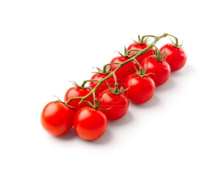 Téléchargez les photos : Tomates cerises biologiques mûres sur une branche, isolées sur fond blanc. - en image libre de droit