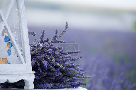 Téléchargez les photos : Un grand bouquet de fleurs de lavande sur une table blanche sur fond de champ de lavande - en image libre de droit