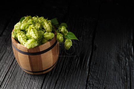 Photo for Green hops in a wooden barrel on a black wooden background, copy space. Brewing traditions, October fest, St. Patrick's day - Royalty Free Image
