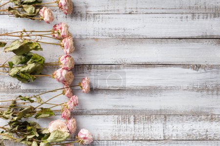 Foto de Ramas de rosas secas sobre un fondo de madera claro vista superior con espacio para el texto. El concepto de soledad o edad. Amor infeliz. Una pérdida. Tristeza. - Imagen libre de derechos