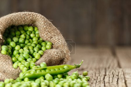 Photo for Fresh organic peeled green peas in a burlap bag, open green pea pods, scattered ripe pea seeds on an aged wooden background. Vegetable protein, healthy products. - Royalty Free Image