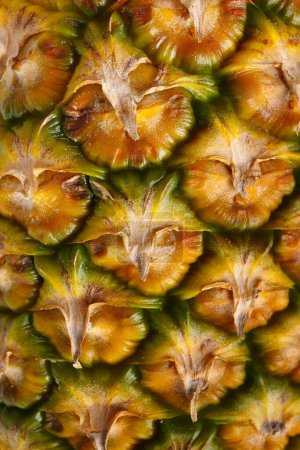 Photo for Pineapple peel as background. Close-up of pineapple peel texture. Pineapple background pattern. - Royalty Free Image