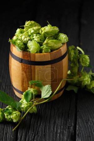 Photo for Green hops in a wooden barrel and a branch of hops on a black wooden background. Brewing traditions. Oktoberfest. Beer Festival. St.Patrick 's Day - Royalty Free Image