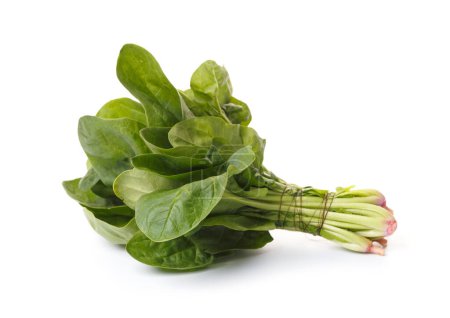 Téléchargez les photos : Bouquet d'épinards verts frais biologiques isolés sur fond blanc. Produits utiles, une source de fibres, vitamines, minéraux. - en image libre de droit
