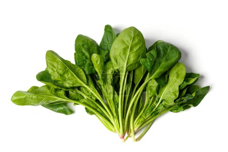 Photo for Bunch of fresh green organic spinach isolated on white background, top view. Useful products, a source of fiber, vitamins, minerals. - Royalty Free Image