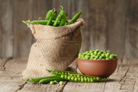 Photo for Pods of fresh green peas in a burlap bag, shelled peas in a clay bowl, sweet organic green peas in closed and open pods on an aged wooden background. vegetable protein. - Royalty Free Image