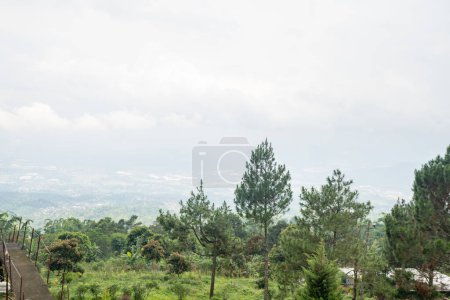 Landschaftsgarten und Berg Bandungan Semarang Zentraljava. Das Foto eignet sich für Erlebnismedien, Naturplakate und Waldhintergrund.