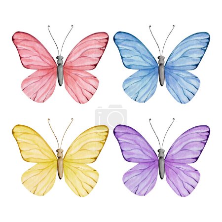 Photo for Watercolor cute pink butterfly illustration clip art. Beautiful spring illustration with pink insects butterflies. High hand drawn animal quality illustration - Royalty Free Image