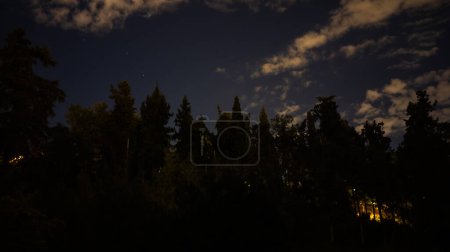Foto de Landscape in which a row of conifers can be seen against the night sky, with clouds and stars of the constellation of the chariot or great bear. - Imagen libre de derechos