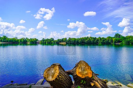 Téléchargez les photos : Waidsee près de Weinheim. Petit lac avec nature environnante. - en image libre de droit