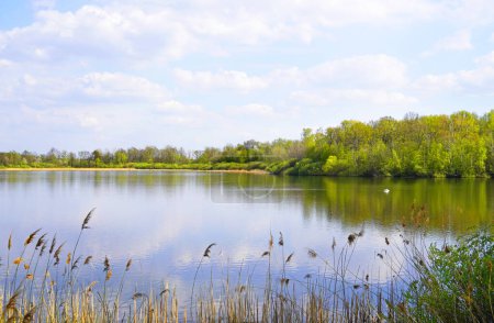 Lower large pond Baernsdorf. Lake with landscape near Moritzburg, Saxony. Reservoir in the nature reserve.