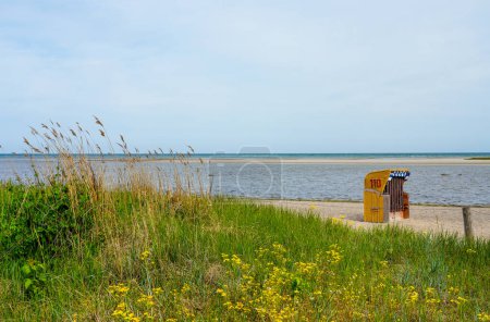 Blick auf die Küste am Gollwitzer Strand. Naturstrand bei Gollwitz im Naturschutzgebiet auf der Insel Poel. Landschaft an der Ostsee am Strand mit Liegestühlen.