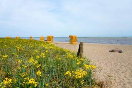 Blick auf die Küste am Gollwitzer Strand. Naturstrand bei Gollwitz im Naturschutzgebiet auf der Insel Poel. Landschaft an der Ostsee am Strand mit Liegestühlen.
