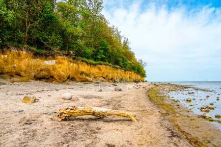 Photo for View of the steep coast at Gollwitzer Strand. Natural beach near Gollwitz in the nature reserve on the island of Poel. Landscape at the Baltic Sea. - Royalty Free Image