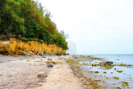 View of the steep coast at Gollwitzer Strand. Natural beach near Gollwitz in the nature reserve on the island of Poel. Landscape at the Baltic Sea.