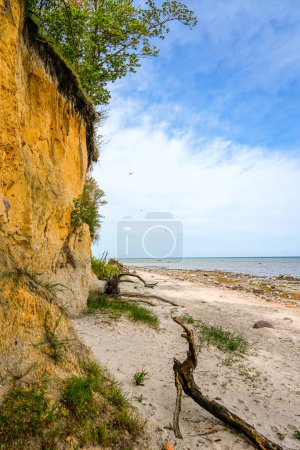 View of the steep coast at Gollwitzer Strand. Natural beach near Gollwitz in the nature reserve on the island of Poel. Landscape at the Baltic Sea.